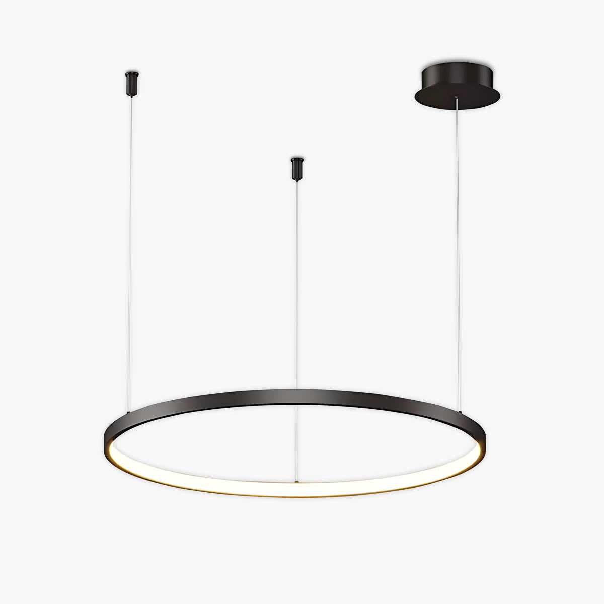 Linden Loop Ring Pendant Light — gallery image 1