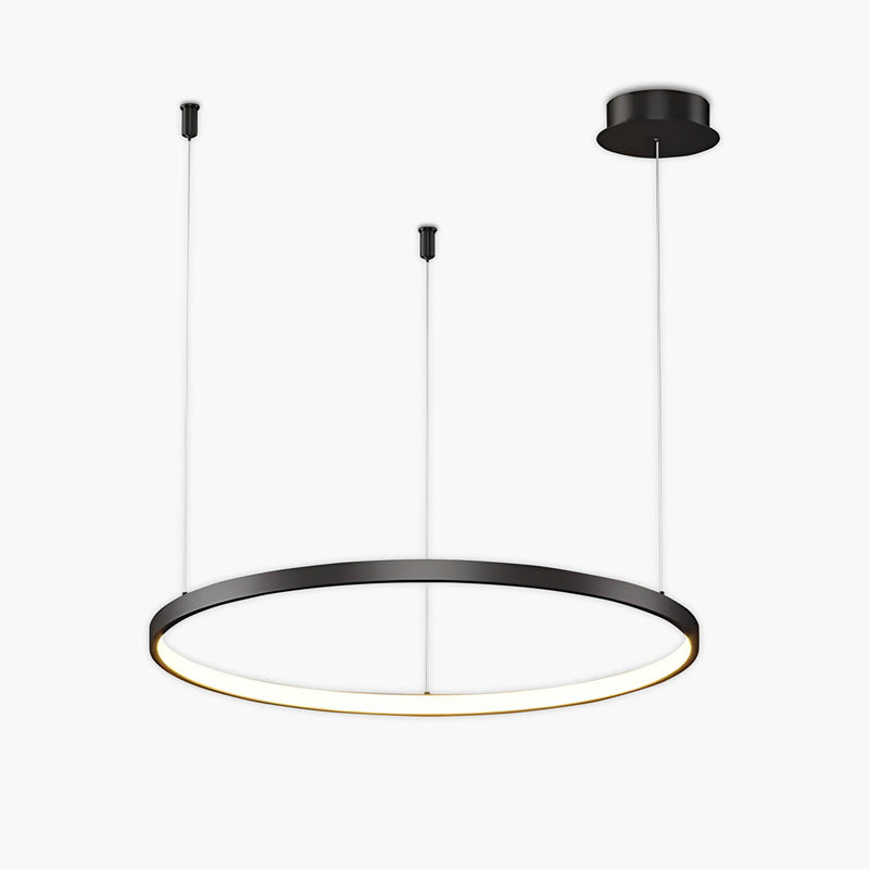 Linden Loop Ring Pendant Light — gallery image 1
