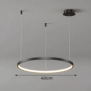 Linden Loop Ring Pendant Light — gallery image 11