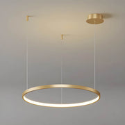Linden Loop Ring Pendant Light — gallery image 8