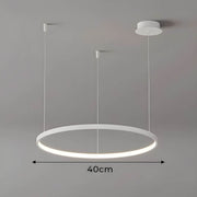 Linden Loop Ring Pendant Light — gallery image 13