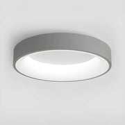 Norwood Form Aluminum Ceiling Light — gallery image 10