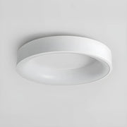 Norwood Form Aluminum Ceiling Light — gallery image 11