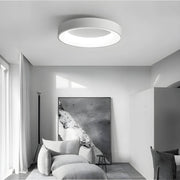 Norwood Form Aluminum Ceiling Light — gallery image 8