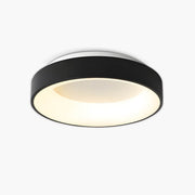 Norwood Form Aluminum Ceiling Light — gallery image 1