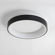 Norwood Form Aluminum Ceiling Light — gallery image 9