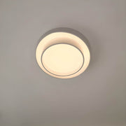 Sherwood Form Acrylic Ceiling Light — gallery image 7