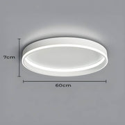 Willoughby Form Aluminum Ceiling Light — gallery image 21