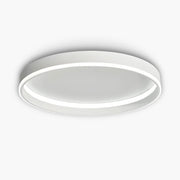 Willoughby Form Aluminum Ceiling Light — gallery image 1