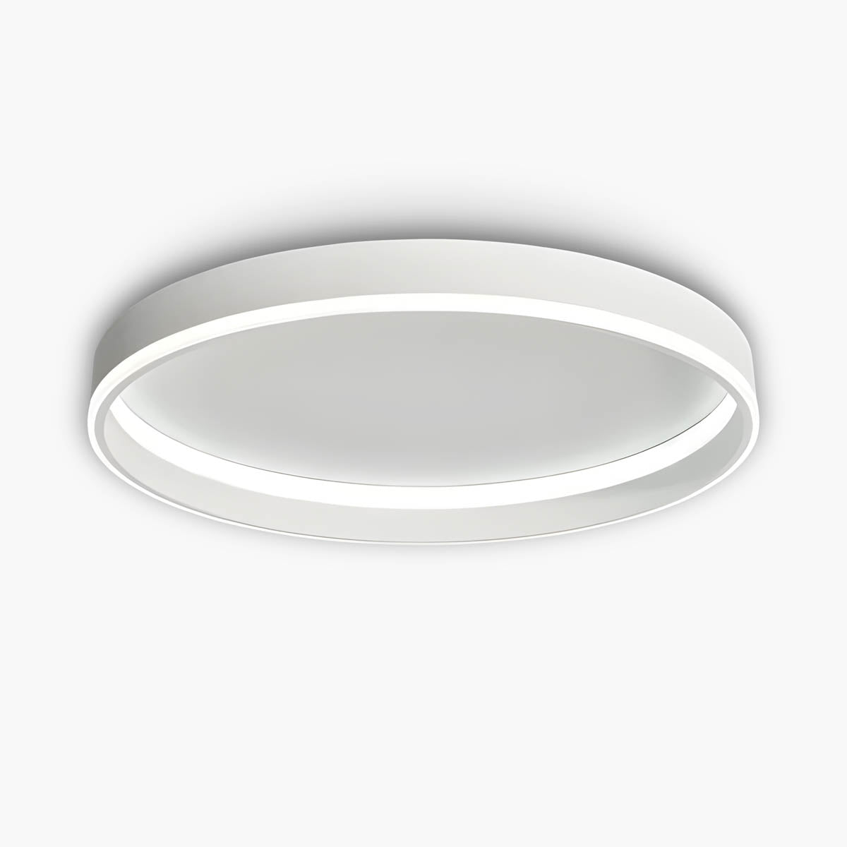 Willoughby Form Aluminum Ceiling Light — gallery image 1