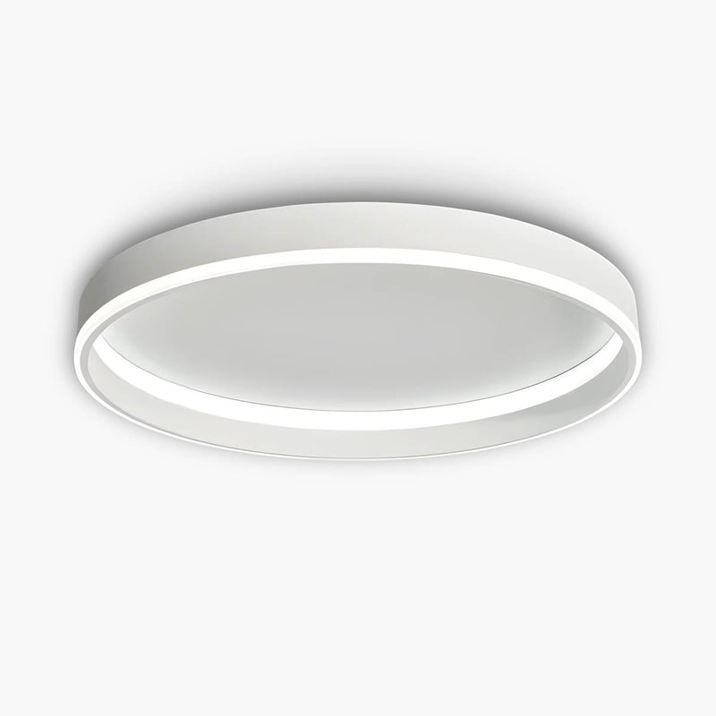 Willoughby Form Aluminum Ceiling Light — gallery image 1