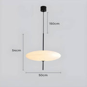 Pemberley Form Acrylic Pendant Light — gallery image 13