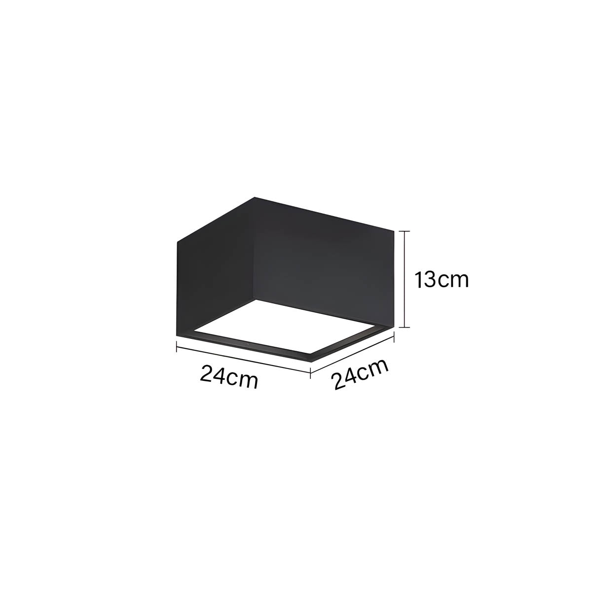 Sorrel Branch Acrylic Ceiling Light — gallery image 15