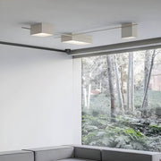 Sorrel Branch Acrylic Ceiling Light — gallery image 7