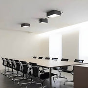 Sorrel Branch Acrylic Ceiling Light — gallery image 8