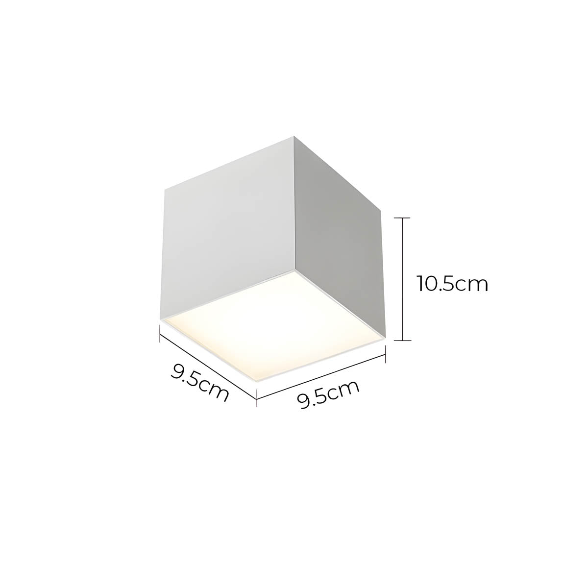 Thistle Branch Acrylic Dome Ceiling Light — gallery image 15