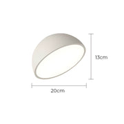 Thistle Branch Acrylic Dome Ceiling Light — gallery image 21