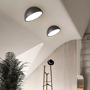 Thistle Branch Acrylic Dome Ceiling Light — gallery image 2