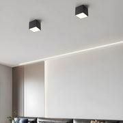 Thistle Branch Acrylic Dome Ceiling Light — gallery image 3