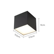Thistle Branch Acrylic Dome Ceiling Light — gallery image 17