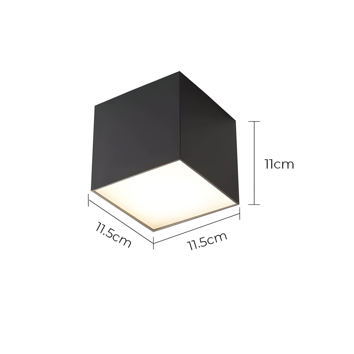 Thistle Branch Acrylic Dome Ceiling Light — gallery image 17