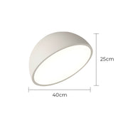 Thistle Branch Acrylic Dome Ceiling Light — gallery image 25