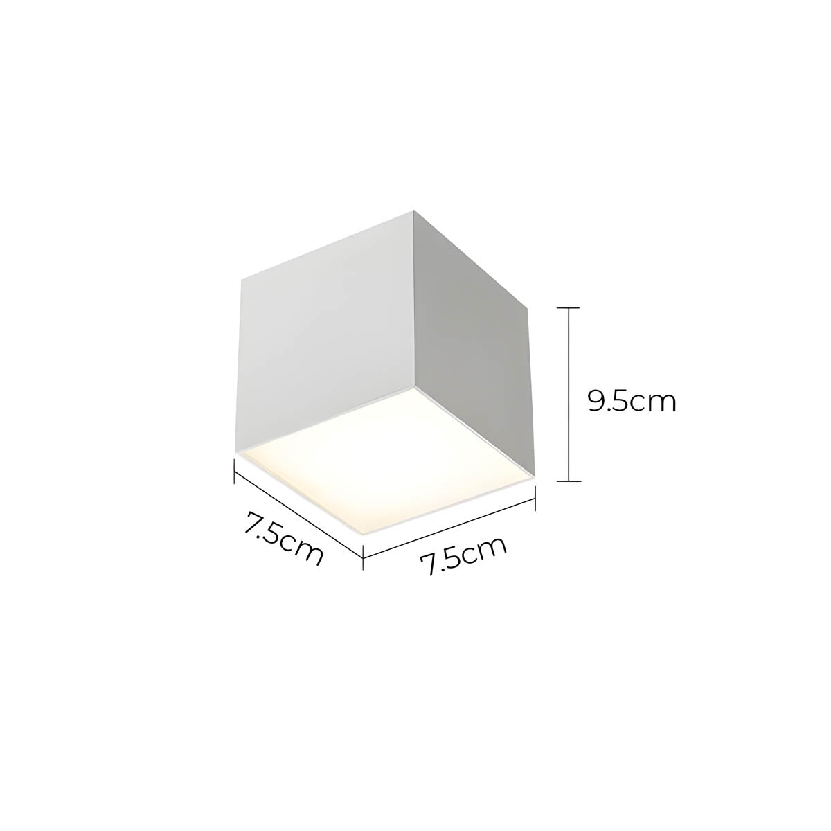Thistle Branch Acrylic Dome Ceiling Light — gallery image 12