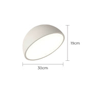 Thistle Branch Acrylic Dome Ceiling Light — gallery image 23