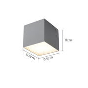 Thistle Branch Acrylic Dome Ceiling Light — gallery image 19