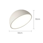 Thistle Branch Acrylic Dome Ceiling Light — gallery image 27