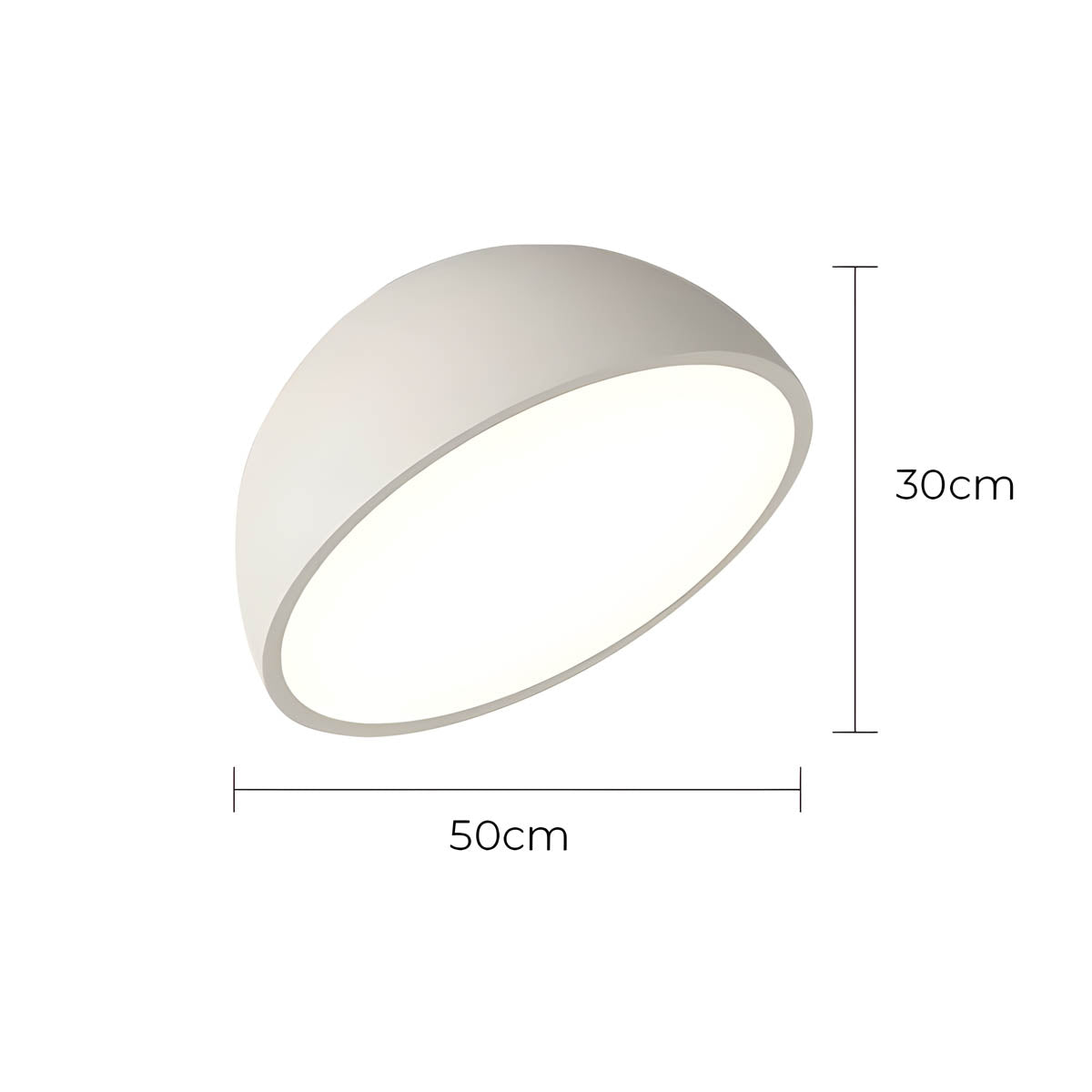 Thistle Branch Acrylic Dome Ceiling Light — gallery image 27