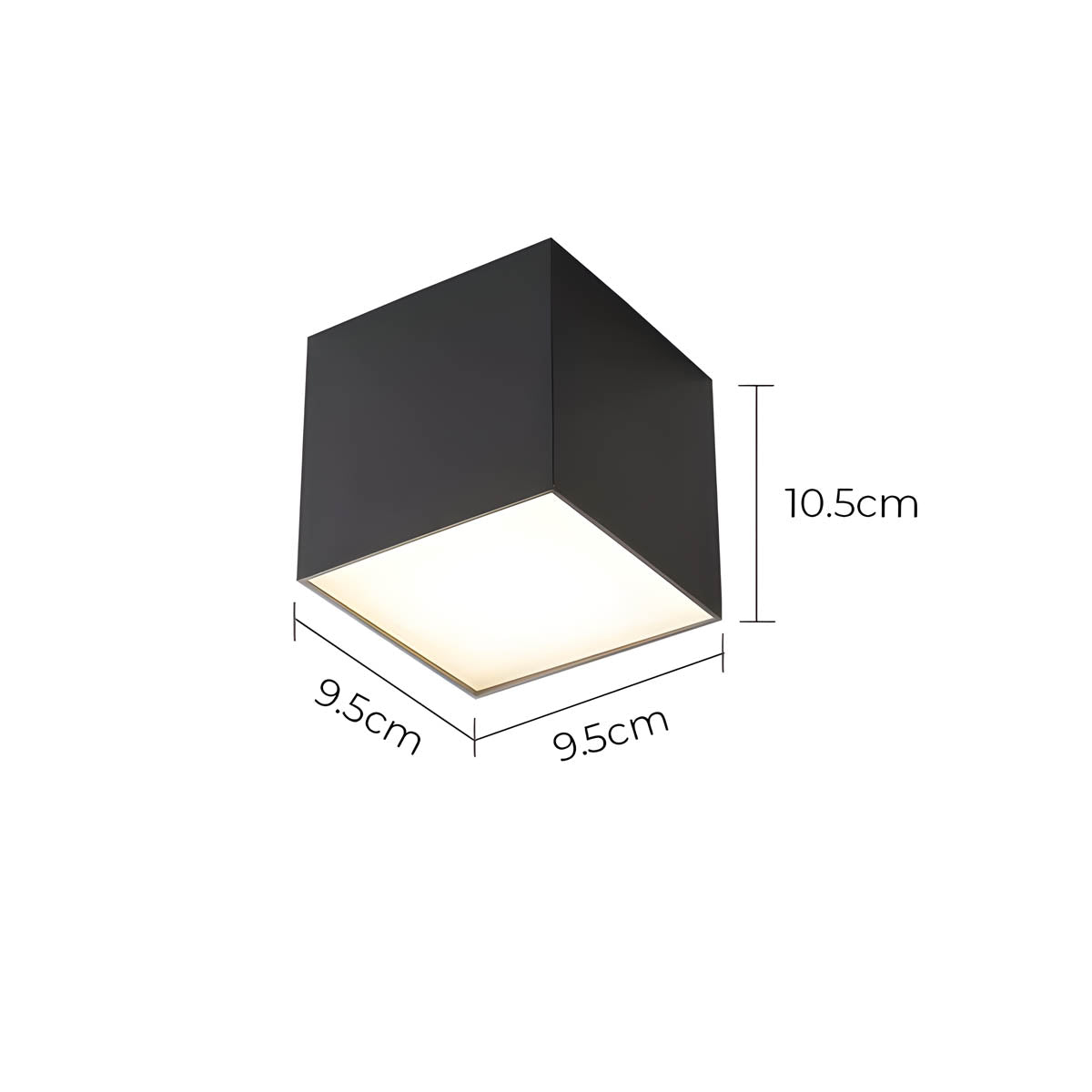 Thistle Branch Acrylic Dome Ceiling Light — gallery image 11