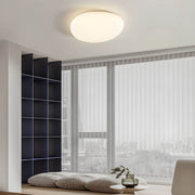 Cranford Branch Acrylic Ceiling Light — gallery image 3