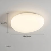 Cranford Branch Acrylic Ceiling Light — gallery image 13