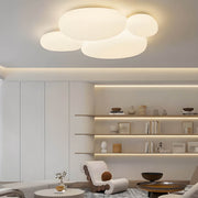 Cranford Branch Acrylic Ceiling Light — gallery image 6