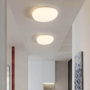 Cranford Branch Acrylic Ceiling Light — gallery image 8