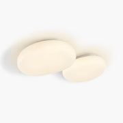 Cranford Branch Acrylic Ceiling Light — gallery image 1