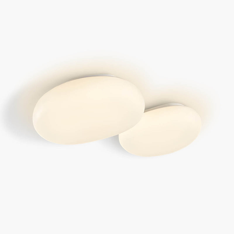 Cranford Branch Acrylic Ceiling Light — gallery image 1