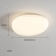 Cranford Branch Acrylic Ceiling Light — gallery image 12