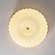 Sorrel Drop Acrylic Dome Ceiling Light — gallery image 10