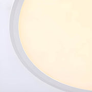 Chestnut Drop Metal Pendant Light — gallery image 12