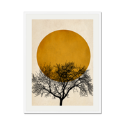 Thornfield Curve Sun Wall Art Print — gallery image 48