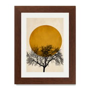 Thornfield Curve Sun Wall Art Print — gallery image 49