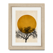 Thornfield Curve Sun Wall Art Print — gallery image 65