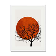Redfern Curve Sun Wall Art Print — gallery image 65