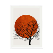 Redfern Curve Sun Wall Art Print — gallery image 66