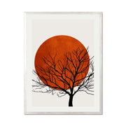 Redfern Curve Sun Wall Art Print — gallery image 63
