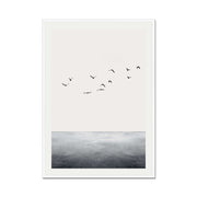 Kingsley Curve Bird Wall Art Print — gallery image 65