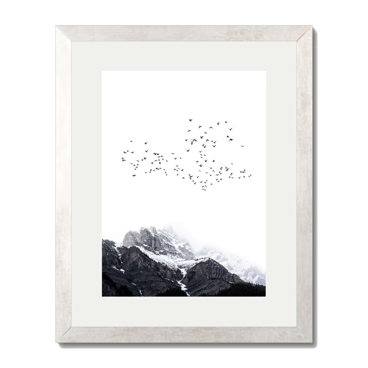 Riverton Curve Bird Wall Art Print — gallery image 56