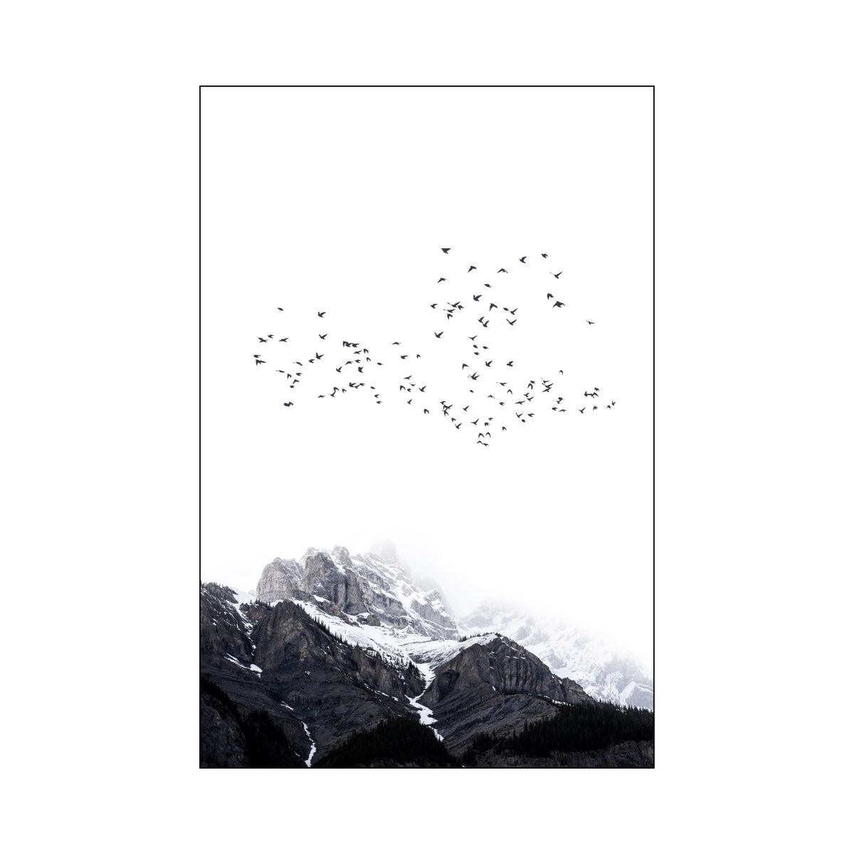 Riverton Curve Bird Wall Art Print — gallery image 68
